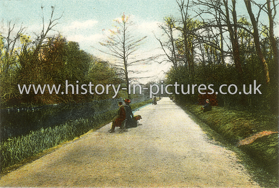 The Heronry Lake Wanstead Park, Wanstead, London. c.1908
